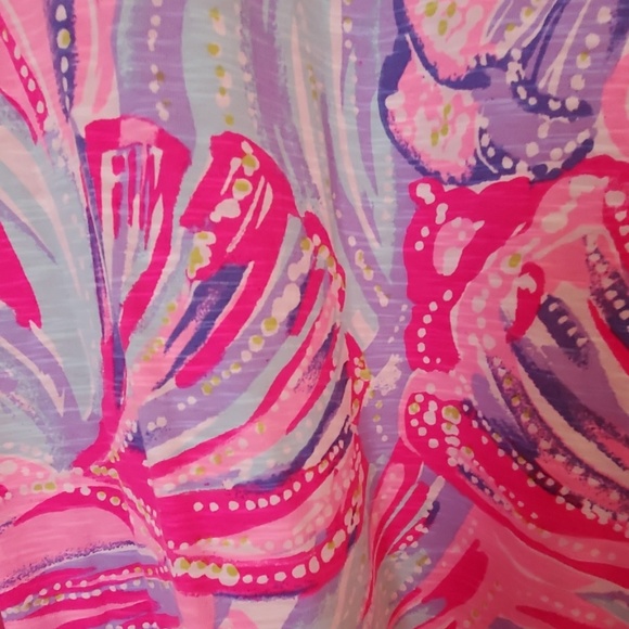 Lilly Pulitzer Dress - Picture 4 of 5